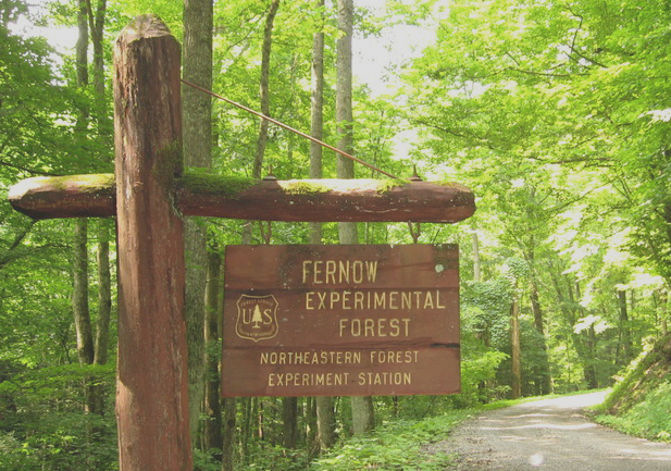 fernow sign